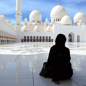 Abu Dhabi Private City Tour from Dubai with Transfers – Sightseeing and Tours Sightseeing and Tours Shop Online at Dubai Trades