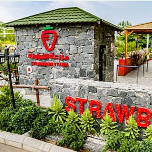 Strawberry Farm – Top-Rated Attractions Top-Rated Attractions Shop Online at Dubai Trades 2