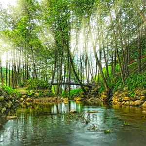 Daily Sapanca and Masukiye Tour: Full-Day Trip From Istanbul – Sightseeing and Tours Sightseeing and Tours Shop Online at Dubai Trades