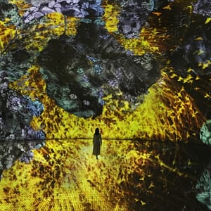 TeamLab Phenomena + Louvre Abu Dhabi – Combo – Recently Added Experiences Recently Added Experiences Shop Online at Dubai Trades