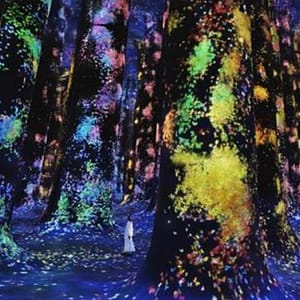 TeamLab Phenomena + Qasr Al Watan – Combo – Recently Added Experiences Recently Added Experiences Shop Online at Dubai Trades