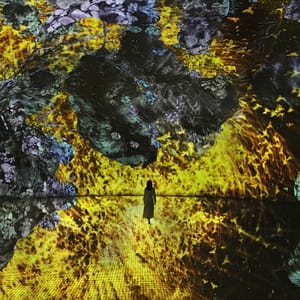 TeamLab Phenomena + Yas Waterworld – Combo – Recently Added Experiences Recently Added Experiences Shop Online at Dubai Trades