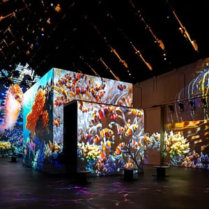 Fabrique des Lumières: The Sea – Recently Added Experiences Recently Added Experiences Shop Online at Dubai Trades
