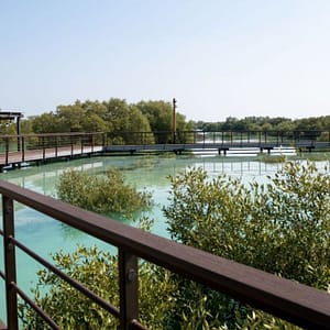 Jubail Mangrove Park – Boardwalk Experience – Recently Added Experiences Recently Added Experiences Shop Online at Dubai Trades