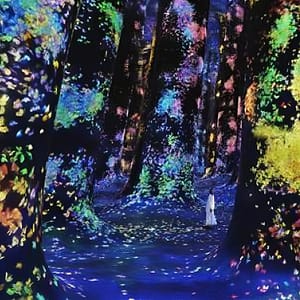 TeamLab Phenomena Abu Dhabi – Museums Museums Shop Online at Dubai Trades