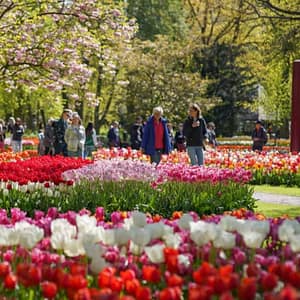 Keukenhof Gardens with transport – Recently Added Experiences Recently Added Experiences Shop Online at Dubai Trades
