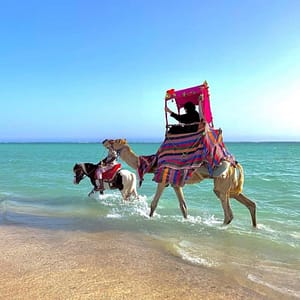 Full Day Obhur & Beach Tour With Transfers – Recently Added Experiences Recently Added Experiences Shop Online at Dubai Trades