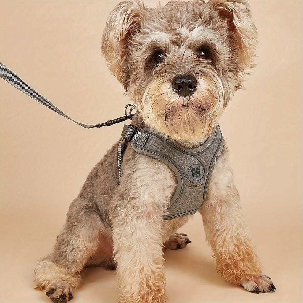 1pc Reflective No-pull Pet Harness And Leash Set For Small And Medium Dogs And Cats – Comfortable And Secure Walking, Running, And Training Basic Leashes Shop Online at Dubai Trades 2