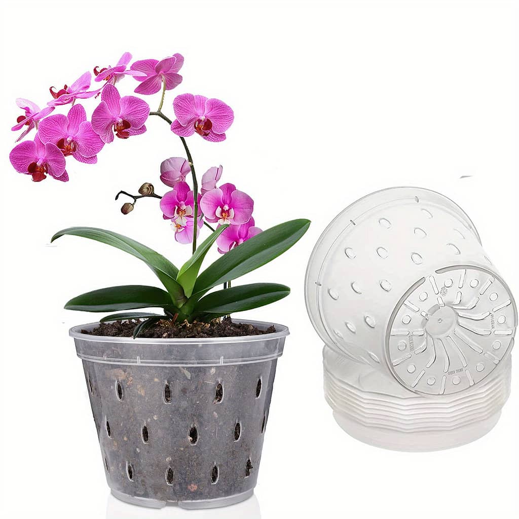 5pcs Plastic Orchid Pots With Drainage Holes And Saucers, 5.5 Inch Oval Floor Mount Planters For Indoor And Outdoor Use Gardening & Lawn Care Shop Online at Dubai Trades 2