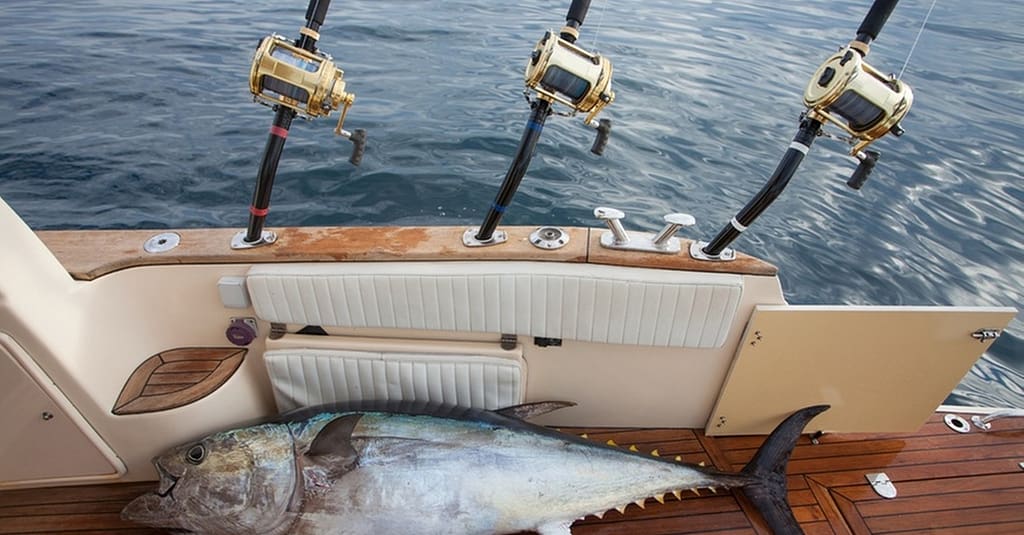 5-Hours Boat Fishing Tour At King Fisher Tours Dubai activities Shop Online at Dubai Trades 5