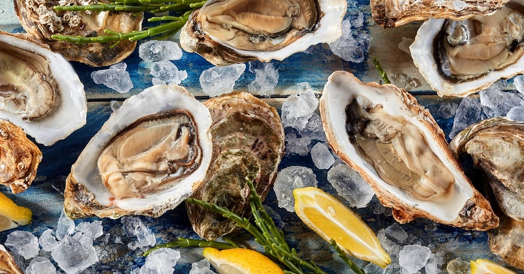 5* Seafood Theme Night Buffet W/Beverage For A Child Or Up To 4 Adults Abu Dhabi restaurants Shop Online at Dubai Trades 8