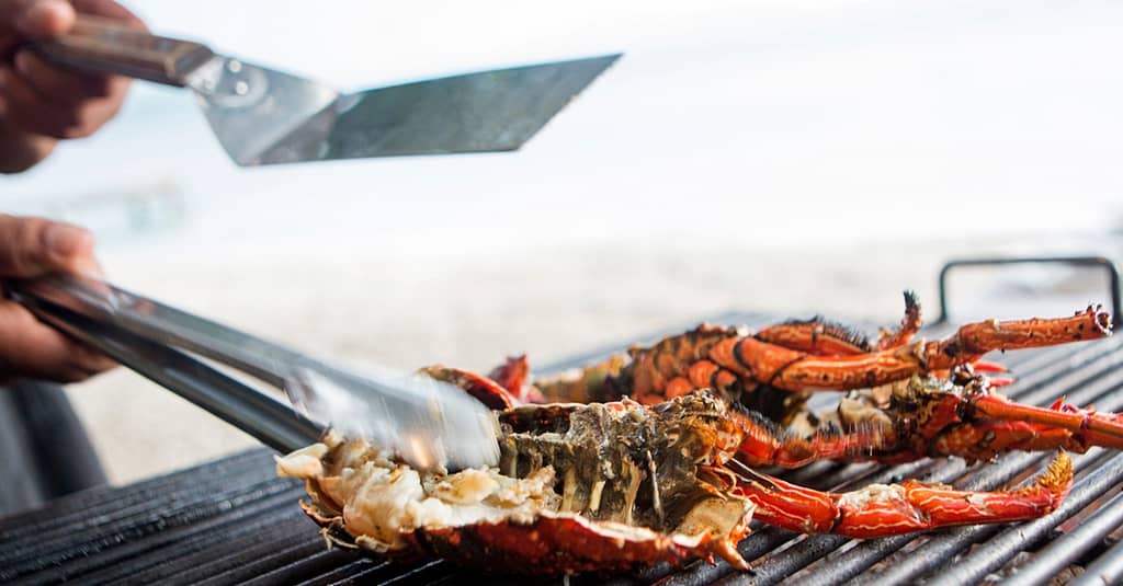 5* Seafood Theme Night Buffet W/Beverage For A Child Or Up To 4 Adults Abu Dhabi restaurants Shop Online at Dubai Trades 2