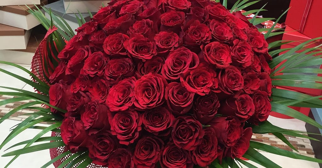 50 To 200 Roses And Card Dubai other Shop Online at Dubai Trades 6
