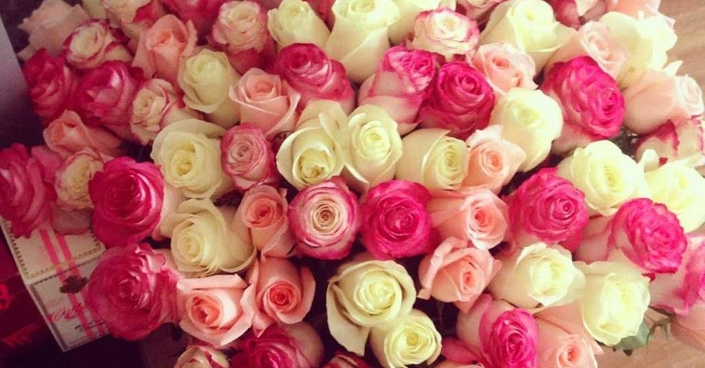 50 To 200 Roses And Card Dubai other Shop Online at Dubai Trades 7