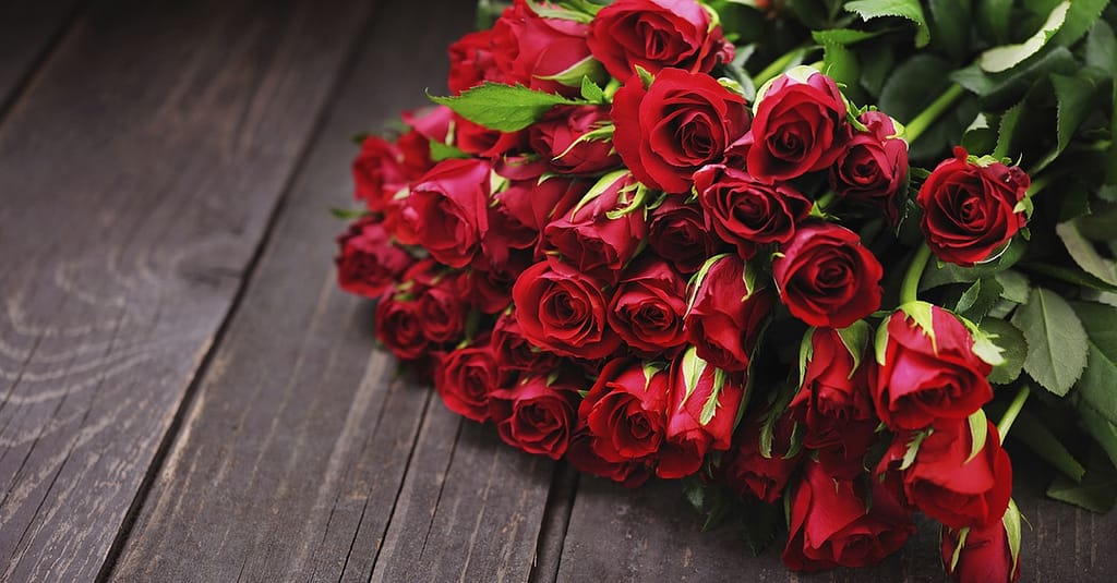 50 To 200 Roses And Card Dubai other Shop Online at Dubai Trades 2