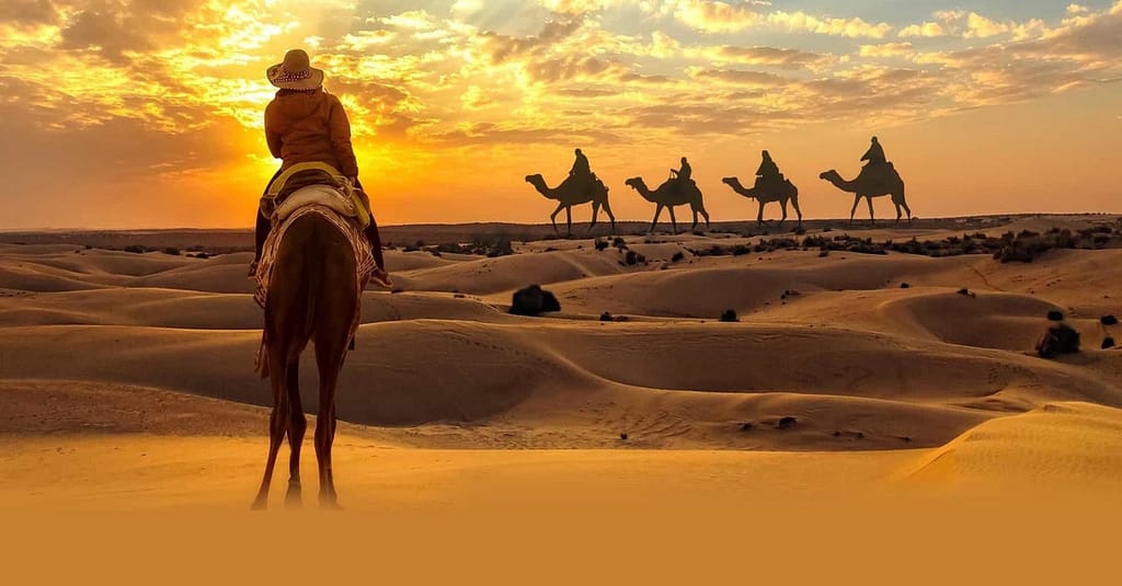 Abu Dhabi Desert Safari: Chill Aed 59, Adult Aed 89, Off Road Tourism Abu Dhabi package Shop Online at Dubai Trades 3