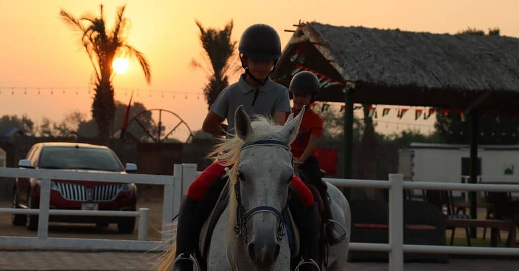 Al Madam 2 Stables, 45-Minute Horse Riding Lesson Dubai activities Shop Online at Dubai Trades 3