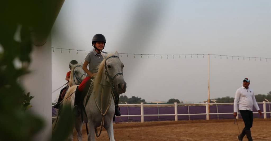 Al Madam 2 Stables, 45-Minute Horse Riding Lesson Dubai activities Shop Online at Dubai Trades 4