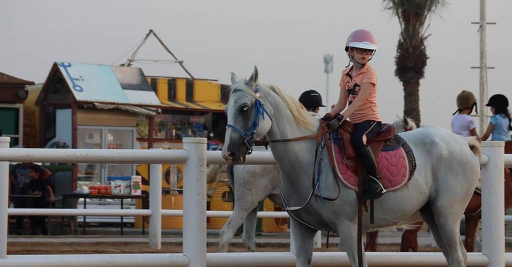 Al Madam 2 Stables, 45-Minute Horse Riding Lesson Dubai activities Shop Online at Dubai Trades 5