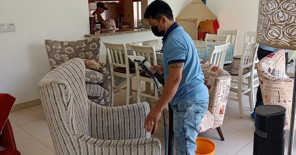 Allergy Care Cleaning Services Dubai other Shop Online at Dubai Trades 2