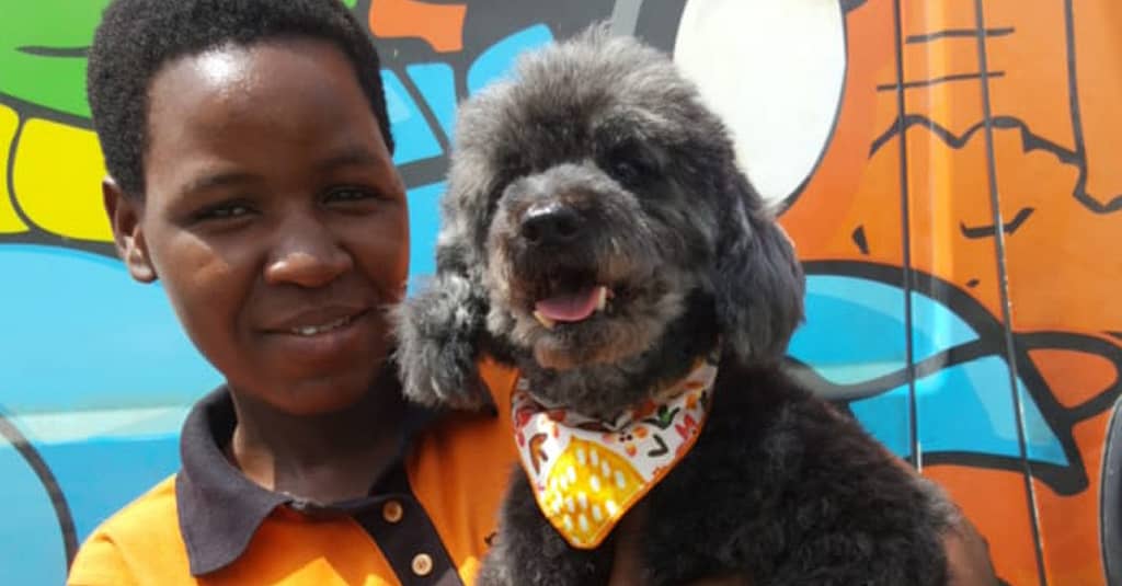 Basic Or Full Grooming At Pet Corner Dubai other Shop Online at Dubai Trades 11