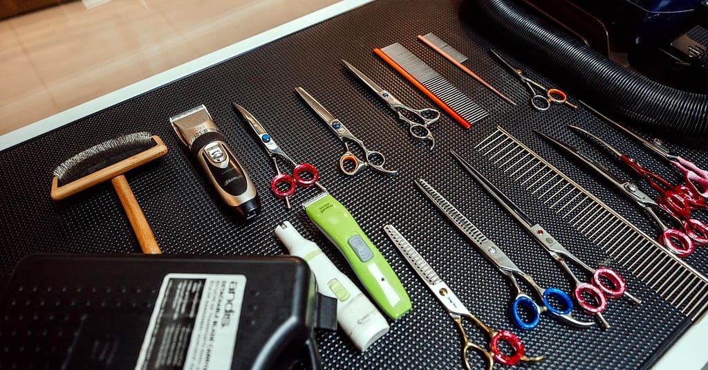 Basic Or Full Grooming For Cats Or Dogs At Pets Habitat Dubai other Shop Online at Dubai Trades 5