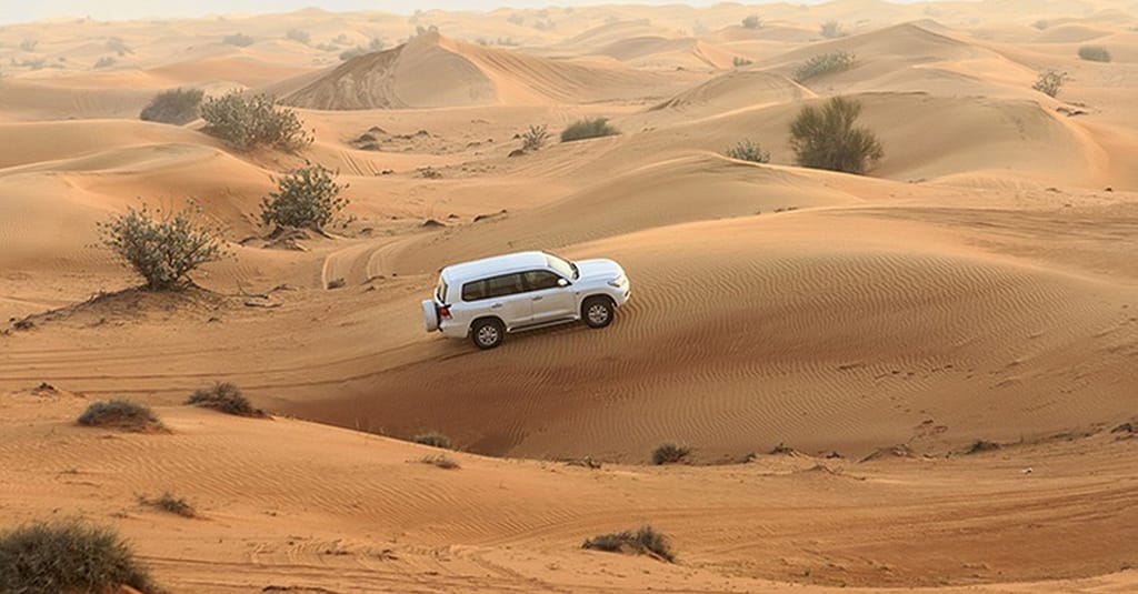 Canal Dhow Cruise And Desert Safari At Desert Ride Travel & Tour Dubai package Shop Online at Dubai Trades 6