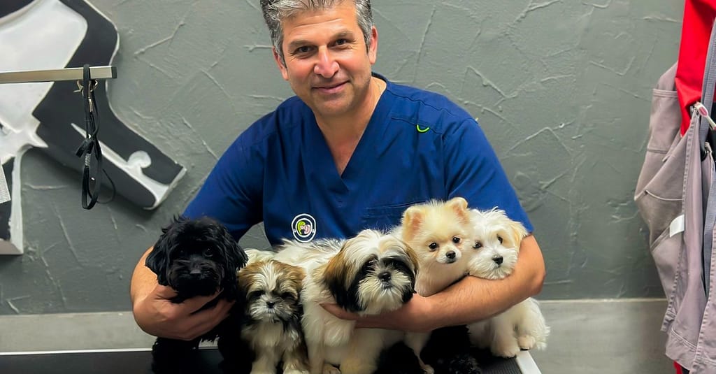 Cat And Dog Check Up And Vaccinations Dubai other Shop Online at Dubai Trades 4