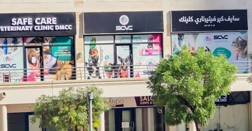 Cat And Dog Check Up And Vaccinations Dubai other Shop Online at Dubai Trades 5