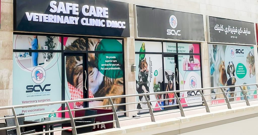 Cat And Dog Check Up And Vaccinations Dubai other Shop Online at Dubai Trades 2