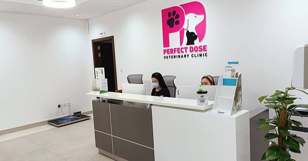 Cat Or Dog Annual Vaccination At Perfect Dose Veterinary Clinic Dubai other Shop Online at Dubai Trades 2
