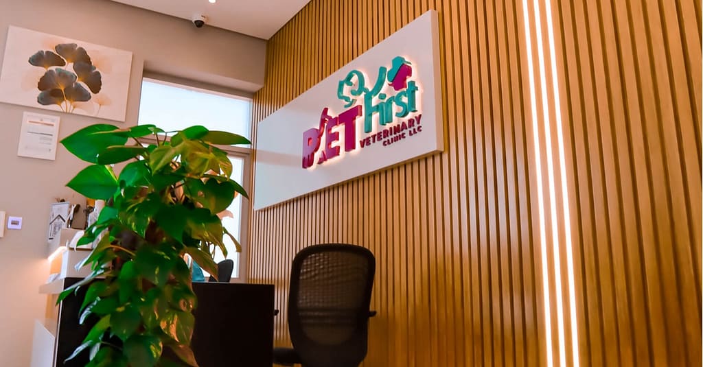 Cat/Dog Annual Vaccination, Full Check-Up W/ Optional Nail Trim & More Dubai other Shop Online at Dubai Trades 18