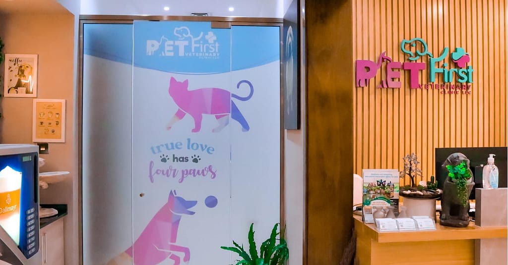 Cat/Dog Annual Vaccination, Full Check-Up W/ Optional Nail Trim & More Dubai other Shop Online at Dubai Trades 3
