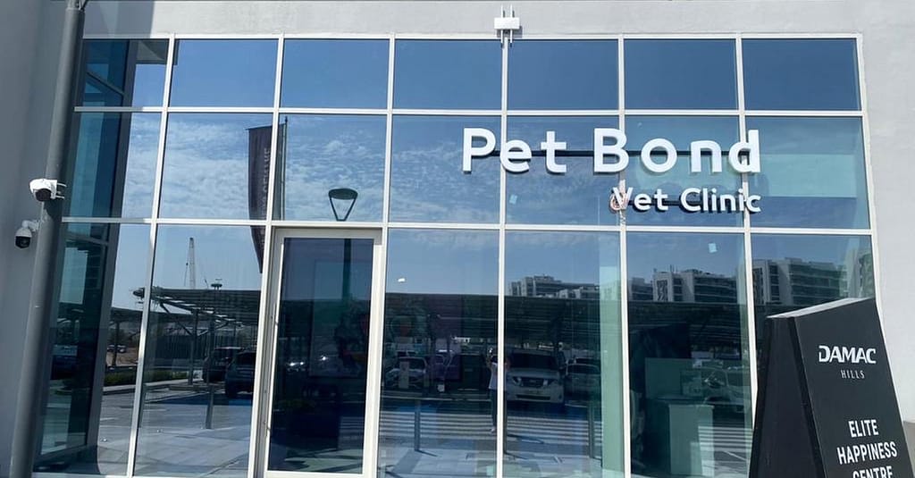 Cat/Dog Check Up With Vaccinations Dubai other Shop Online at Dubai Trades 3