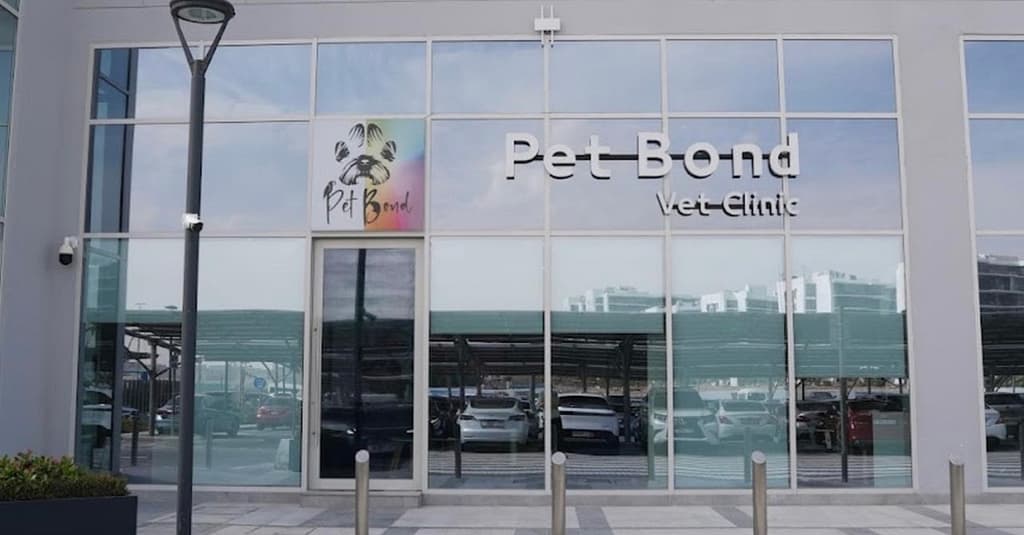 Cat/Dog Check Up With Vaccinations Dubai other Shop Online at Dubai Trades 4