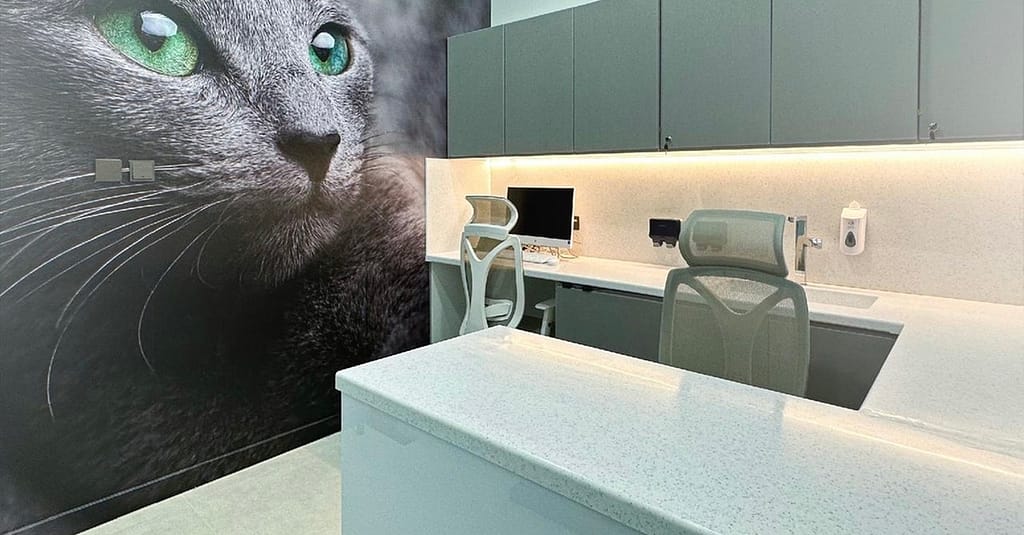 Cat/Dog Check Up With Vaccinations Dubai other Shop Online at Dubai Trades 6