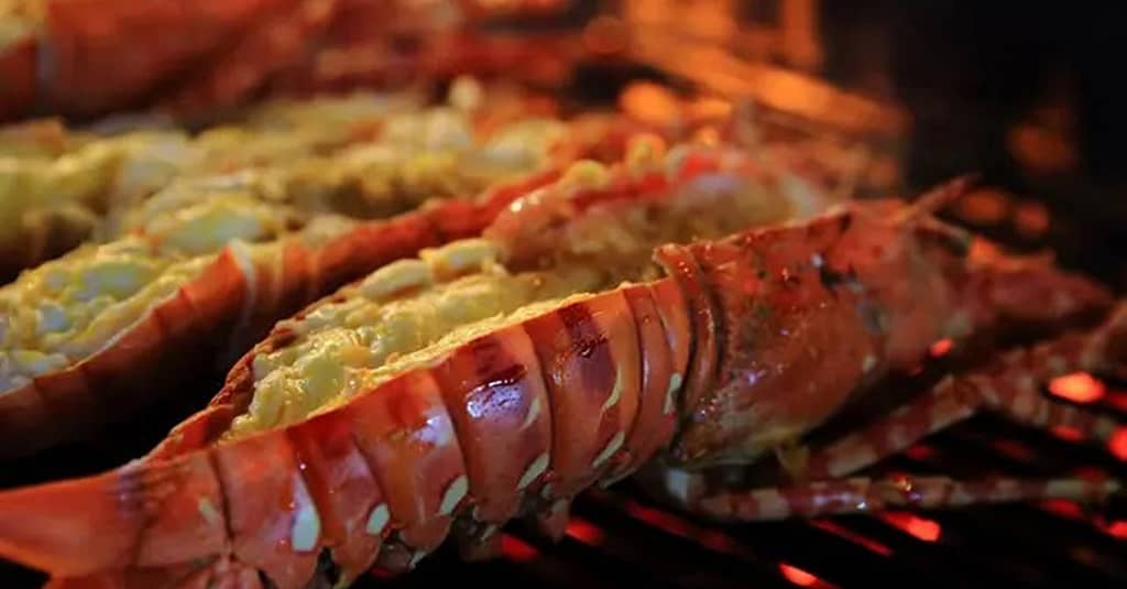 Choose From Sailor Boil Or Captain Boil At Shellfish Bar Dmcc Dubai restaurants Shop Online at Dubai Trades 13