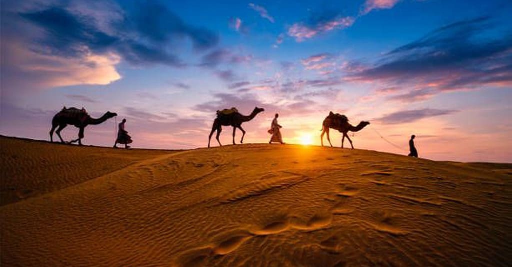 Desert Safari Adventure For 1,2, Or 4 With Vip Treatment And Atv Ride Dubai package Shop Online at Dubai Trades 6
