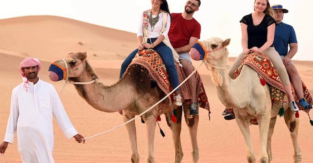 Desert Safari And Bbq With Pickup By Benchmark Tourism Dubai package Shop Online at Dubai Trades 3