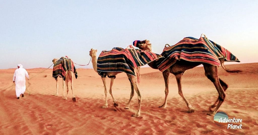 Desert Safari Dubai package Shop Online at Dubai Trades 4
