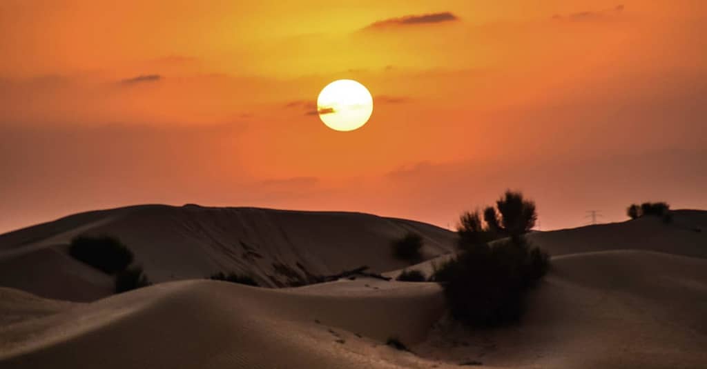 Desert Safari With 30 Minutes Quad Bike At Al Khaima Tours Dubai package Shop Online at Dubai Trades 6
