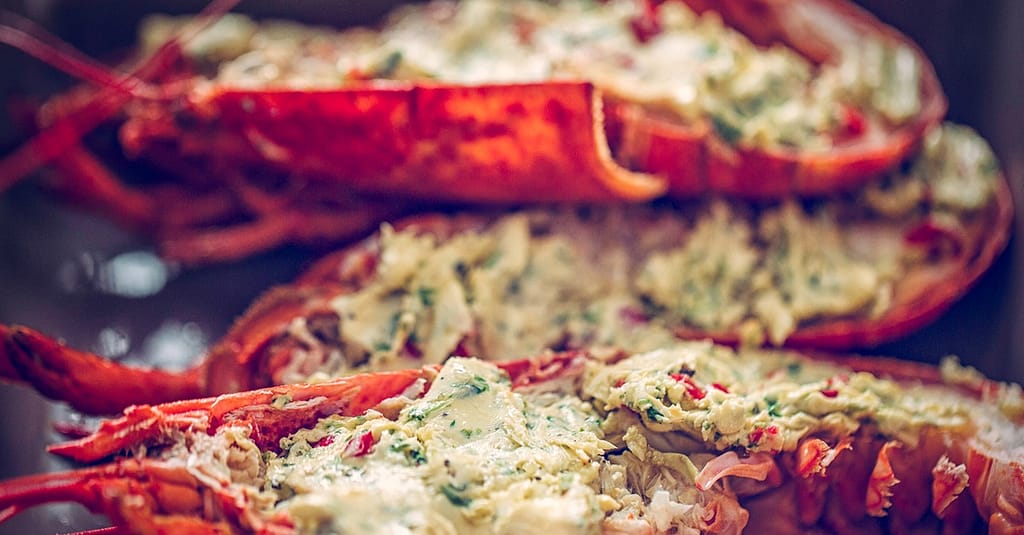 Dinner Buffet With Free-Flowing Beverages For 1 Child Or Upto 4 Adults Dubai restaurants Shop Online at Dubai Trades 7