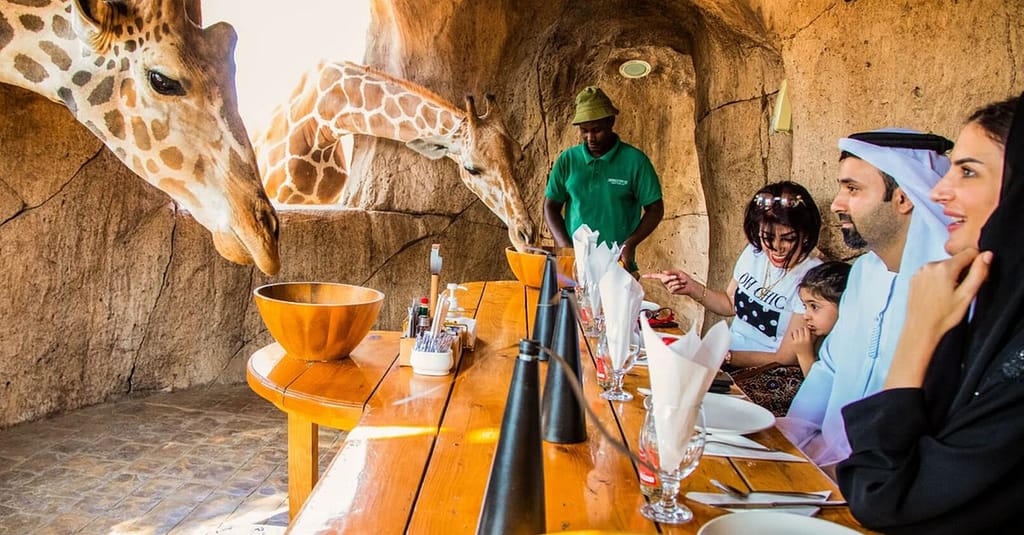 Dive Into Fun: Zoo Entrance With Activity And Aed 50/100/200 Voucher Abu Dhabi package Shop Online at Dubai Trades 8