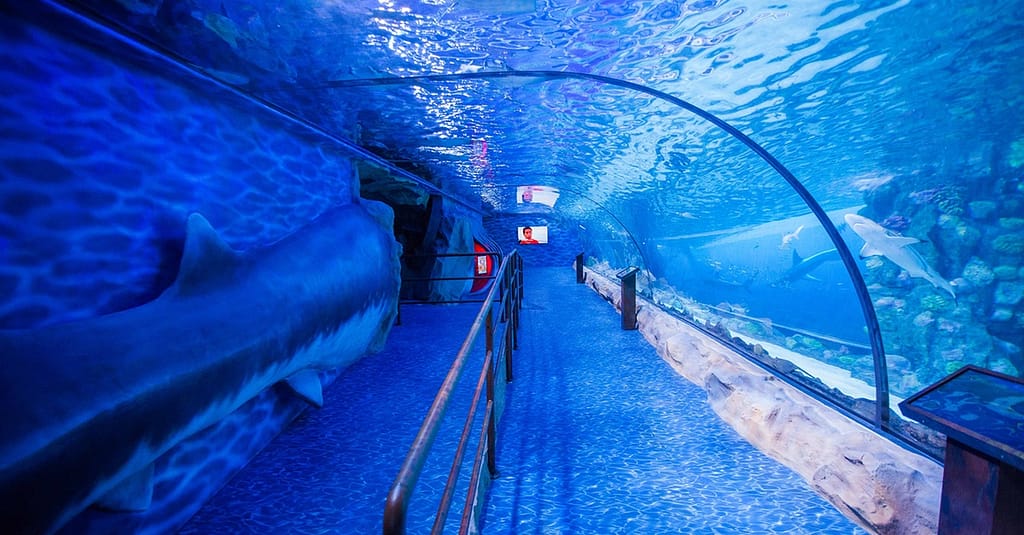 Dive Into The Ultimate Experience Adventure Packages! National Deal activities Shop Online at Dubai Trades 3