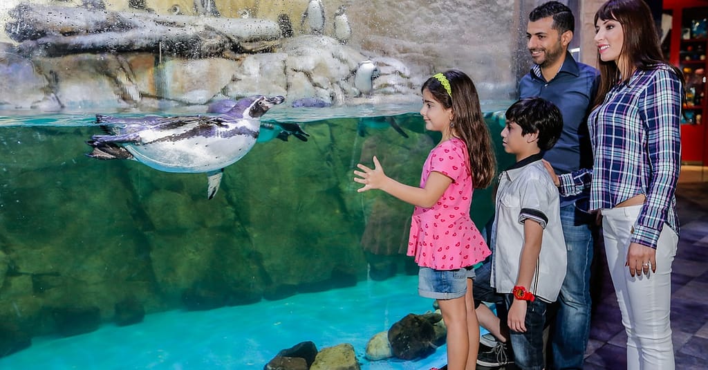 Dive Into The Ultimate Experience Adventure Packages! National Deal activities Shop Online at Dubai Trades 6