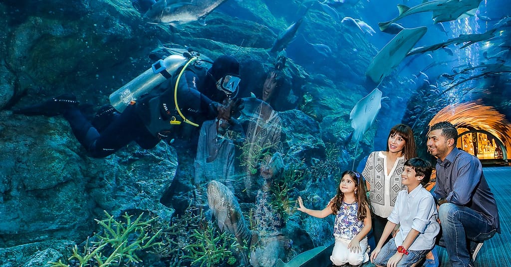 Dive Into The Ultimate Experience Adventure Packages! National Deal activities Shop Online at Dubai Trades 8