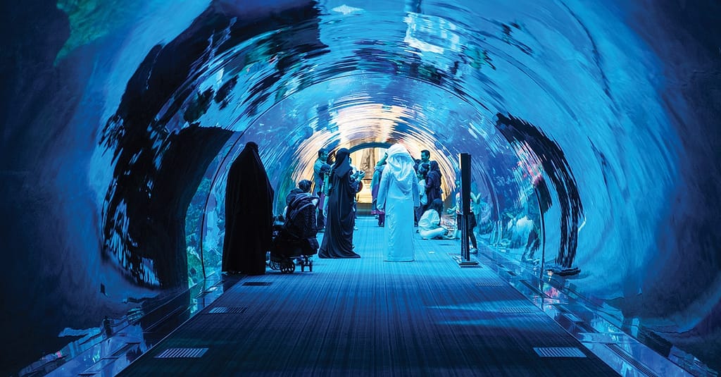 Dive Into The Ultimate Experience Adventure Packages! National Deal activities Shop Online at Dubai Trades 9