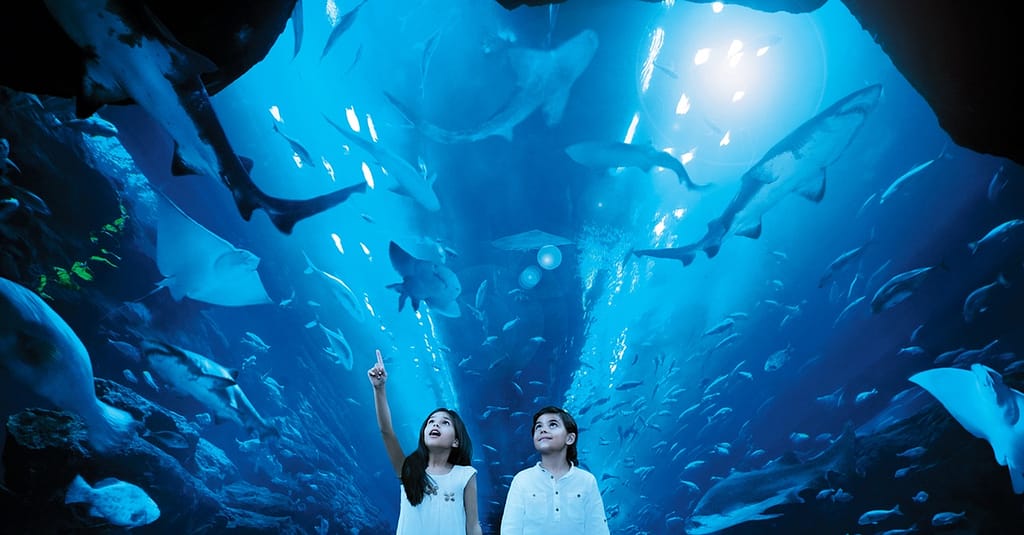 Dive Into The Ultimate Experience Adventure Packages! National Deal activities Shop Online at Dubai Trades 2
