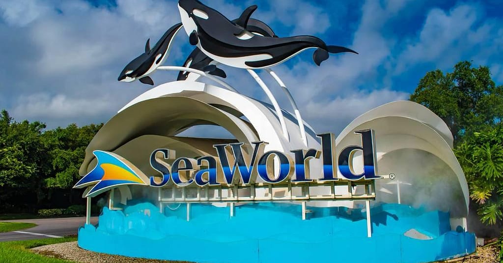 Dive With Fun: One Or Two Park Pass With Abudhabi Tour At Rs Tourism! National Deal activities Shop Online at Dubai Trades 3