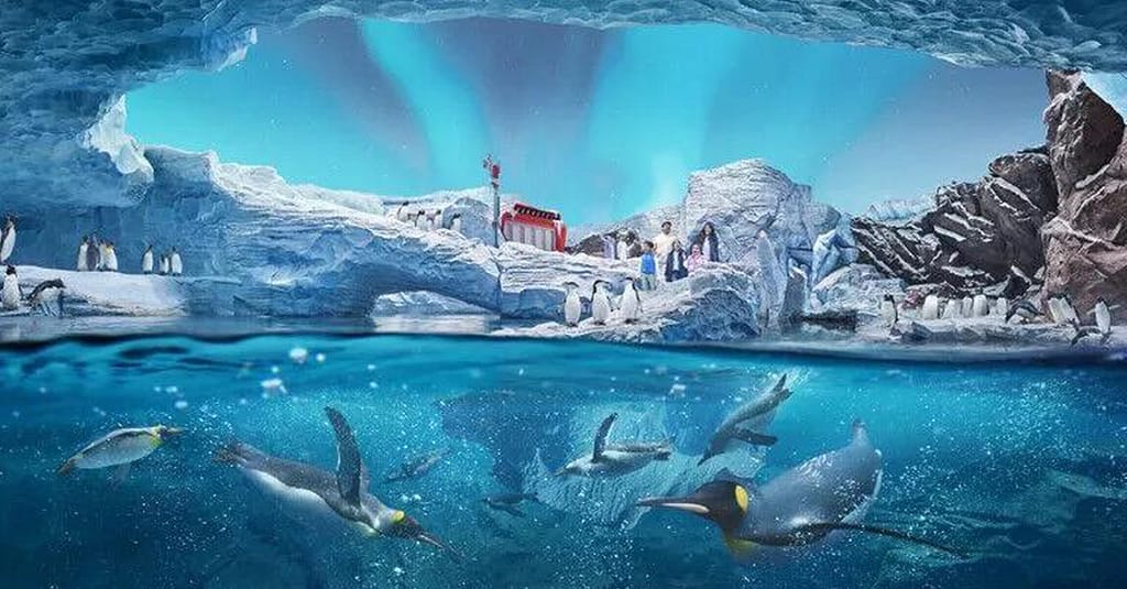 Dive With Fun: One Or Two Park Pass With Abudhabi Tour At Rs Tourism! National Deal activities Shop Online at Dubai Trades 7